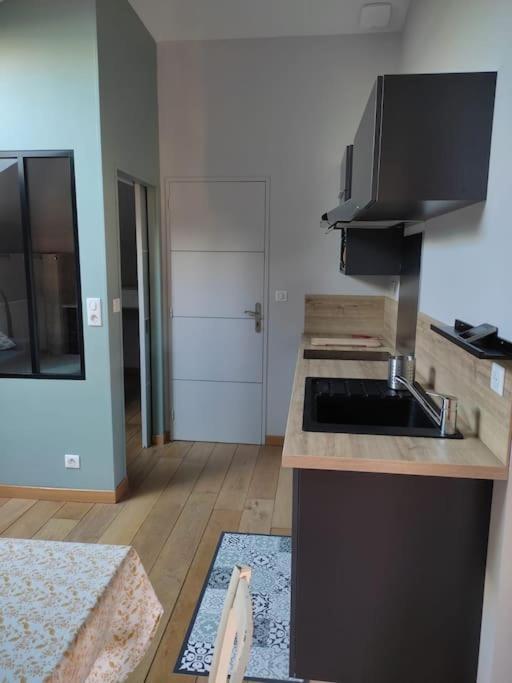 Appartement Le Saint Maur Neuville-du-Poitou 외부 사진