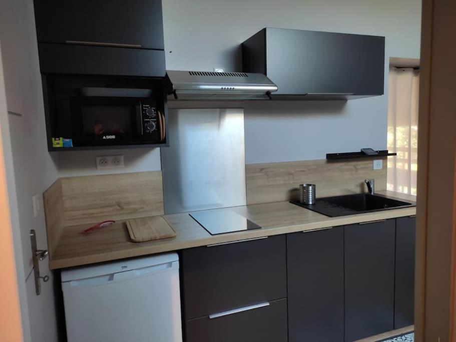 Appartement Le Saint Maur Neuville-du-Poitou 외부 사진